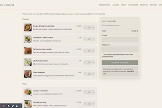 developp a full custom website