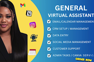 be your virtual assistant, data entry, personal virtual assistance, executive VA