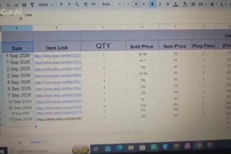 be your ebay virtual assistant for complete ebay store management