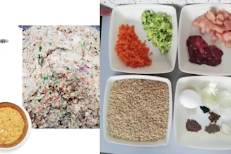 formulate homemade and commercial food for dogs
