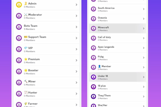 setup a professional custom discord server