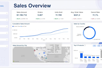 a professional power bi dashboard and KPI report