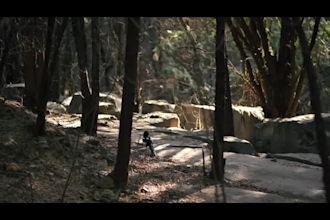 do professional cinematic travel and vlog video editing