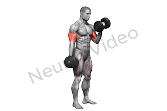 provide 600 HD workout exercise video clips for gym or app