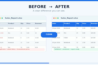 data cleaning, data entry excel work and google sheets