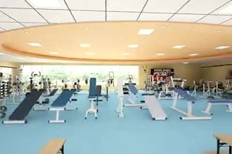 create 3d gym animation, fitness animation, and workout videos for gym and apps