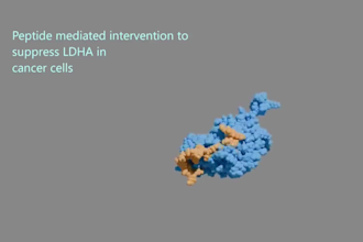 create scientific medical animations for research journals and biotech