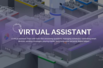 provide virtual assistance services