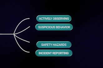 provide 24 7 remote cctv monitoring to convenience stores