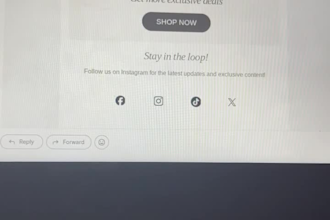 do email templates using canva