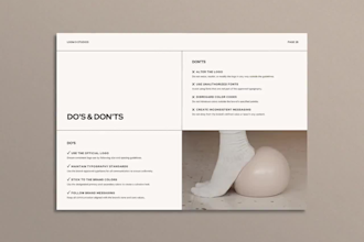 design professional brand guidelines, style guide and brand book