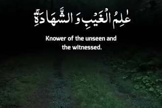 teach quran with tajweed and noorani qaida online