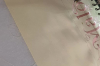 do professional embroidery lettering and simple logo digitizing