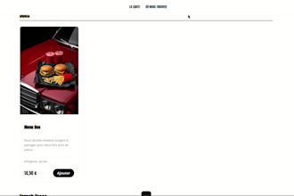 build you a professional showcase website or ecommerce store