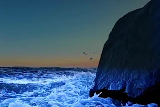 do 3d water simulation product animation water simulation fluid animation