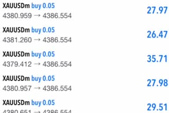 gold ea trading bot forex bot xauusd ea bot scalping trading robot gold ea robot