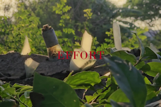 edit high quality videos with smooth transitions in capcut