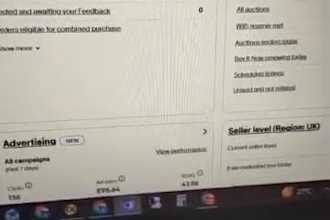 create complete verified ebay seller account with high selling limit, ebay bank