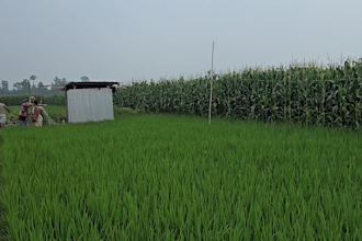 provide authentic village life photos and real rural videos