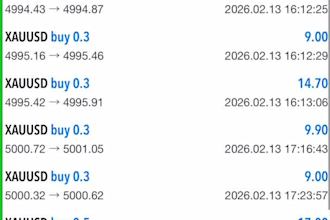 provide a fully automated  forex trading robot ready to use mt5