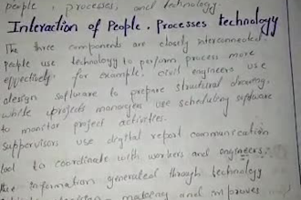 professional assignment writing, editing and proofreading