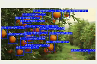 do face recognition, object detection, and segmentation