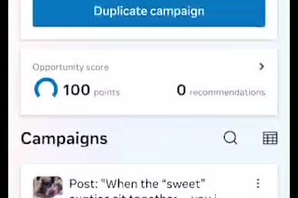 manage and scale your meta ads campaigns