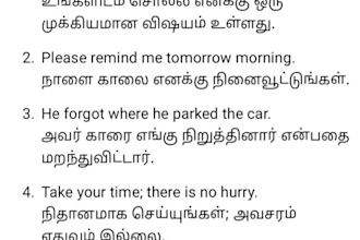 translate english to tamil  and tamil to english accurately