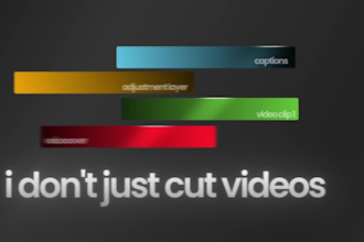 do professional video sales letters vsl