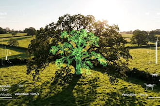 provide UK ecology reports, bs5837 tree surveys, and bng metric reports