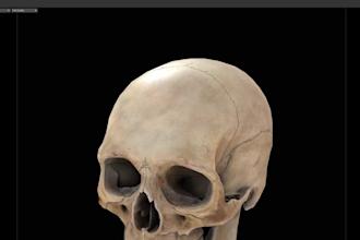 do 3d medical product animation, 3d surgery, 3d health anatomy scientific video