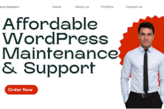 provide affordable wordpress maintenance and support