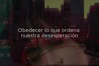 create professional  presentations y edicion