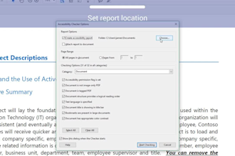pdf accessibility remediation services