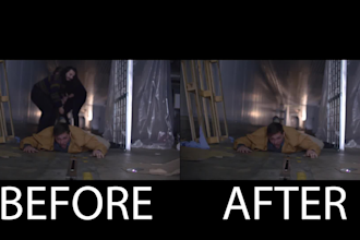 do vfx cleanup and add or remove