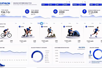 do advance excel data formatting and data visualization