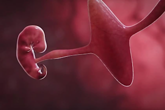 do industrial 3d animation, explainer voice over, medical surgical animation