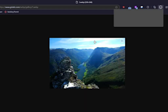 build a custom chrome or firefox browser extension
