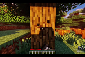 do professional minecraft video editing for youtube