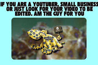 be your youtube video essay editor