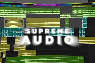 edit your video professionally for the cheapest price