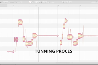 be your vocal tuning technician