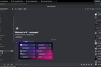 set up a professional discord server for your community