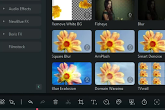 be your ugc content creating professional