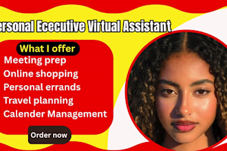 executive personal general virtual assistant admin support instagram assistant