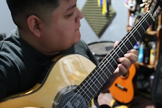 guitarra andina profesional andina