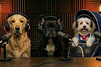 create funny ai talking dog and cat video with realistic lipsync