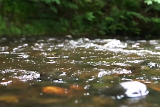 create relaxing rain video, rain sounds, cozy ambient and sleep meditation video