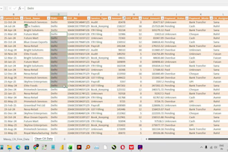 clean, format, organize and remove duplicates from excel data
