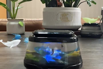 add accurate chinese or english subtitles to your video